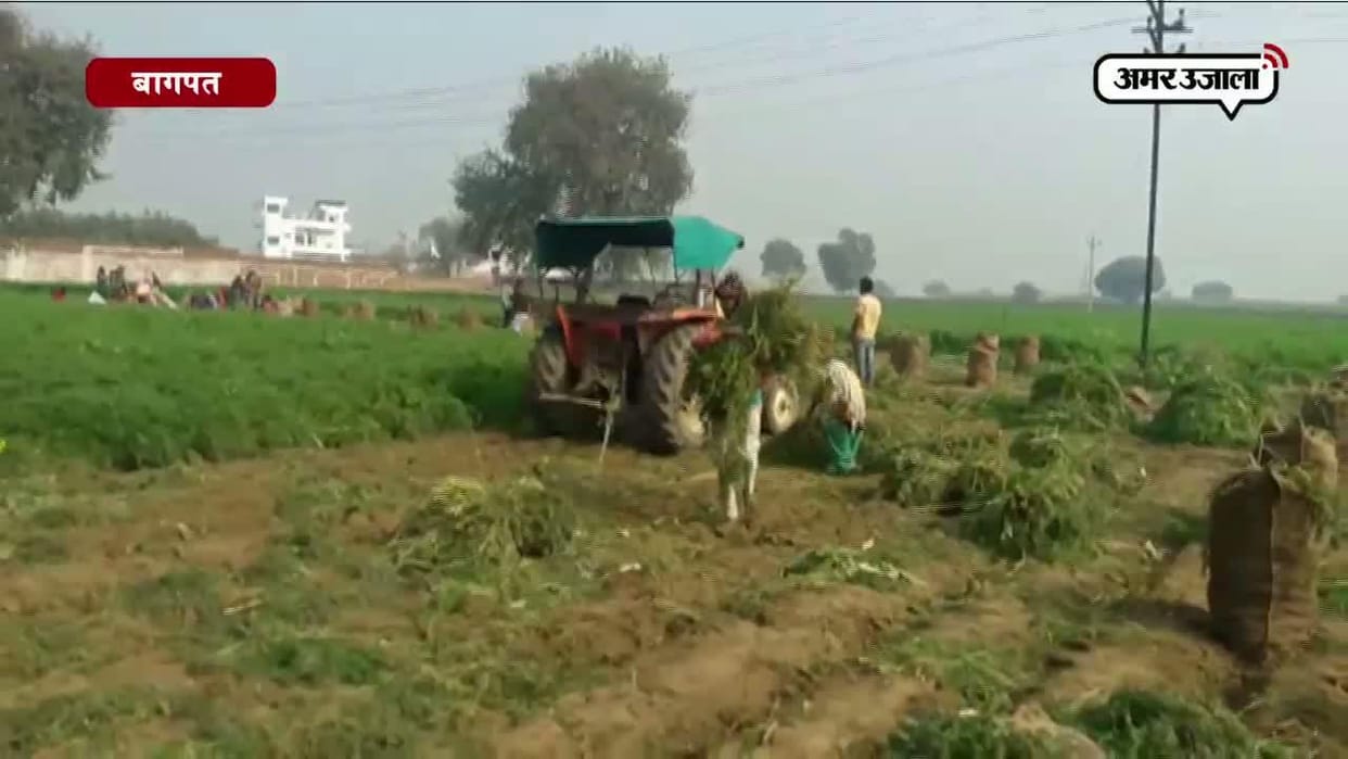 Twenty-three lakh farmers live in a Diwali environment