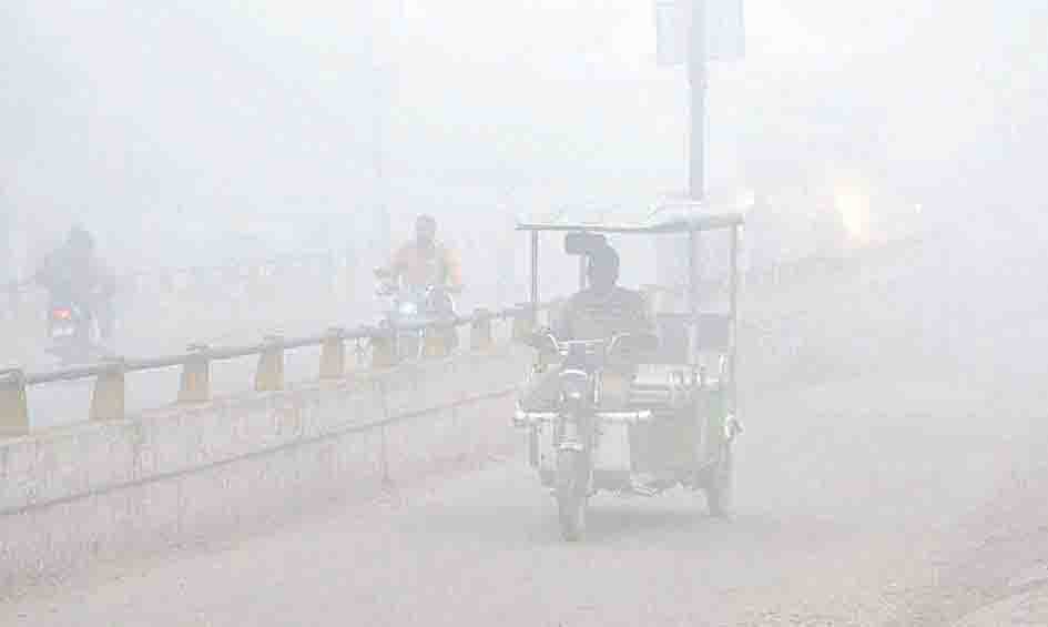 fog and cold