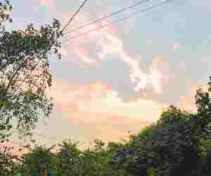 Rain in lowland