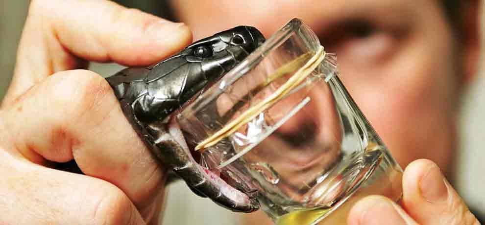 delhi drummer injects snake venom and now he is more dangerous than snake