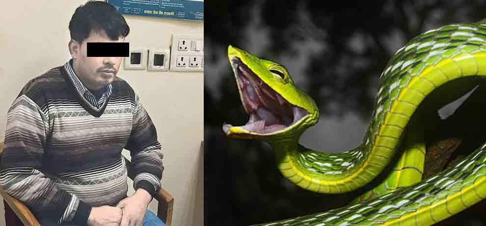 delhi drummer injects snake venom and now he is more dangerous than snake