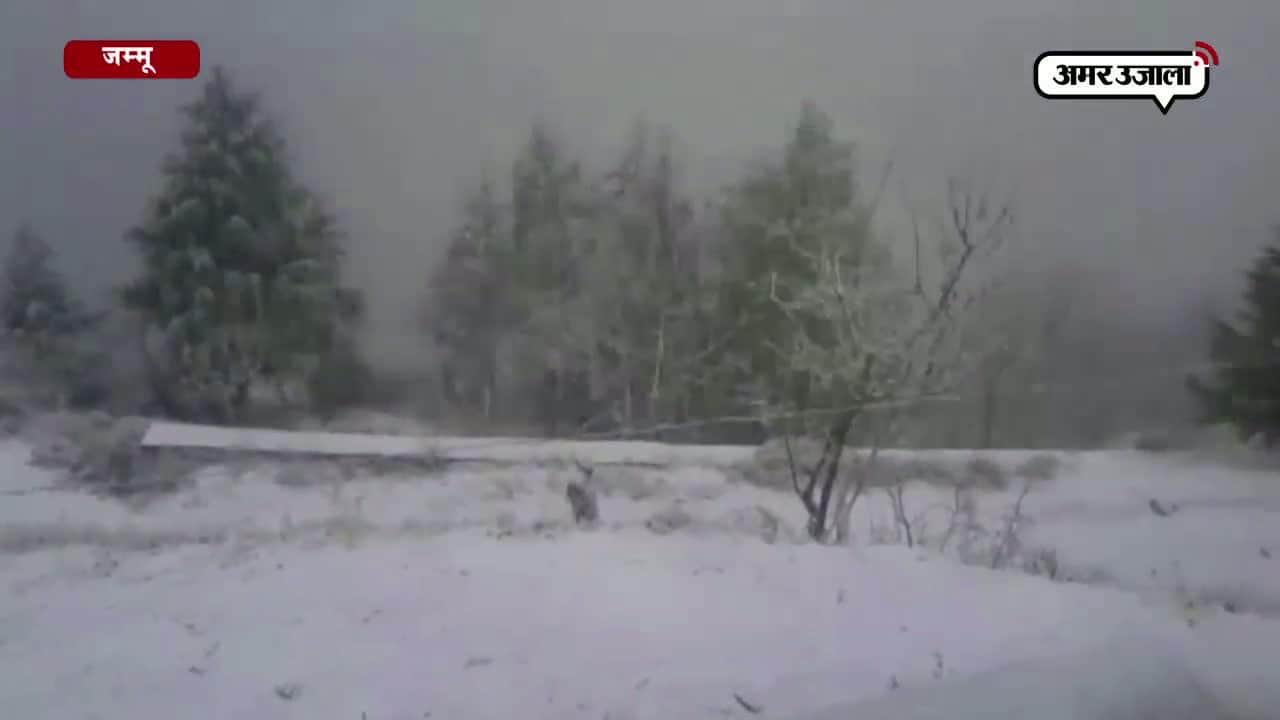 बर्फबारी