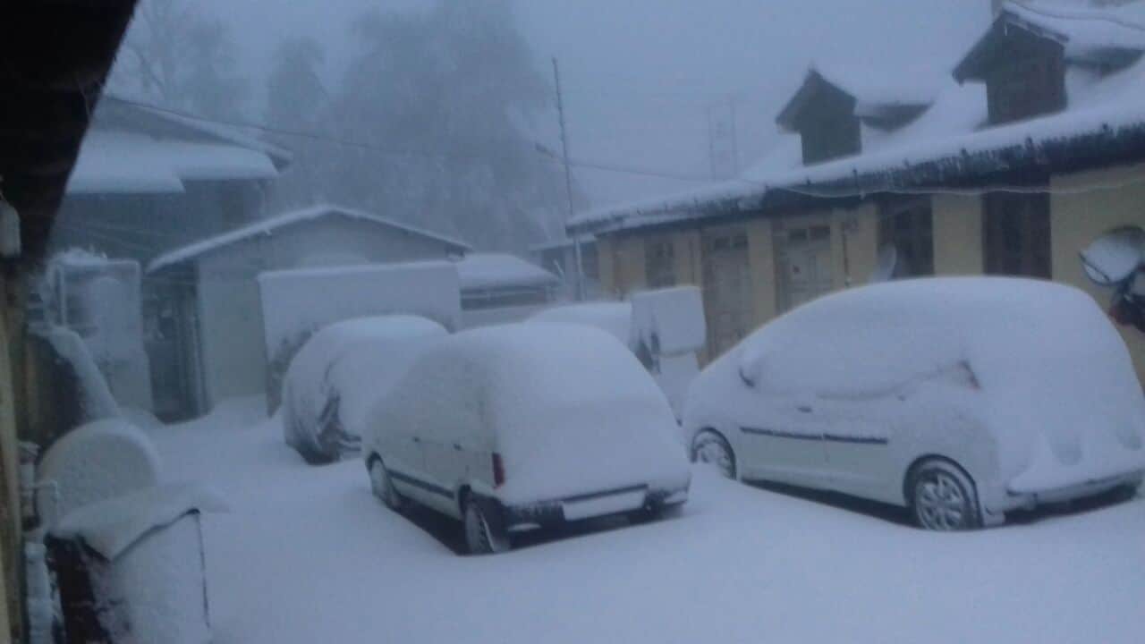 heavy snowfall in chakrata.
