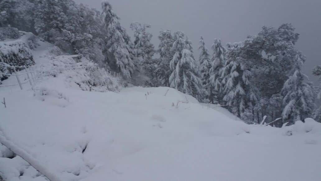 water sources freeze in uttarakhand.