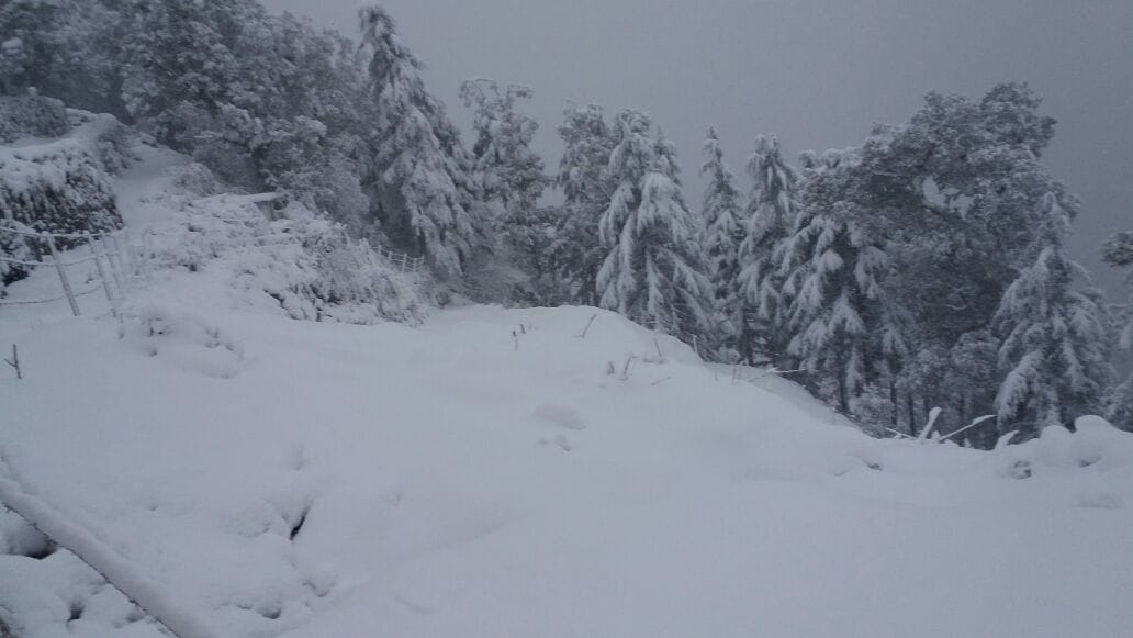 water sources freeze in uttarakhand.