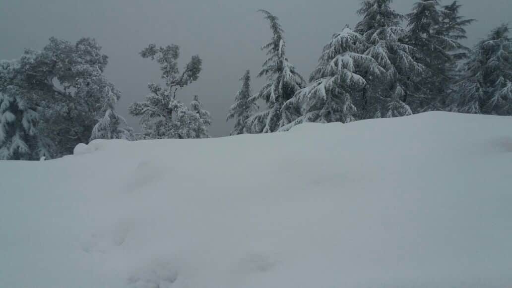 12 hours continuous snowfall in kedarnath