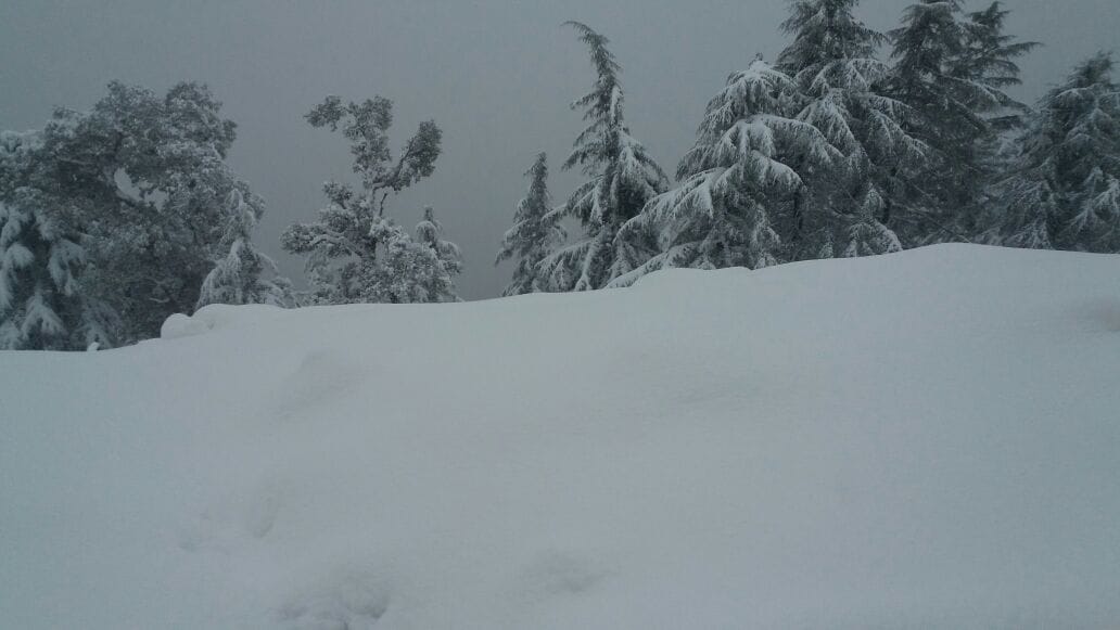 12 hours continuous snowfall in kedarnath