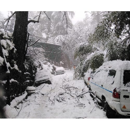 Heavy snowfall in himachal, Shimla, Manali, roads blocked, thousands of tourists stranded