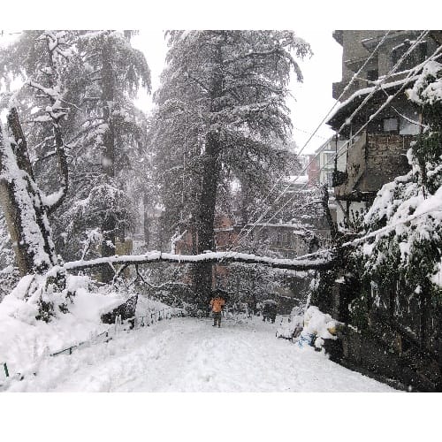 Heavy snowfall in himachal, Shimla, Manali, roads blocked, thousands of tourists stranded