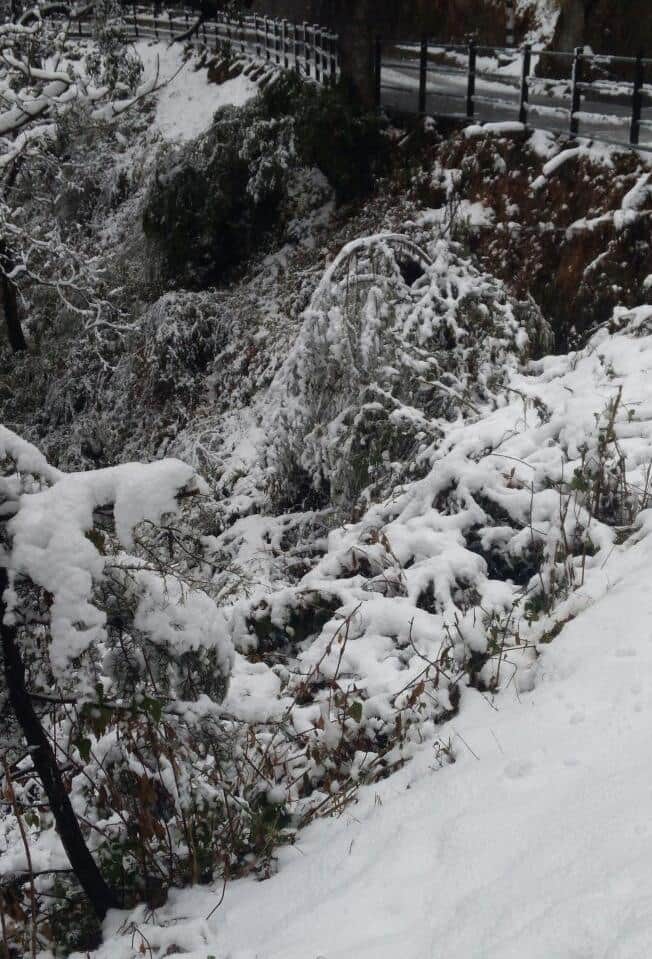 first snowfall in mussoorie in new year.
