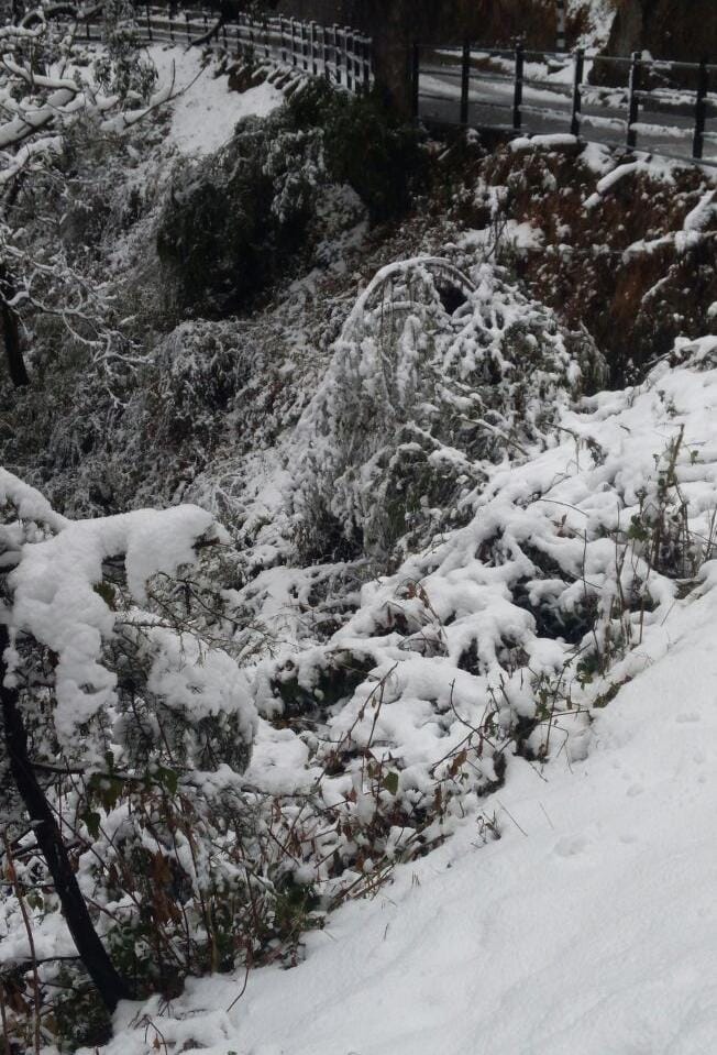 first snowfall in mussoorie in new year.