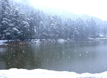 Snowfall Starts in Himachal, Forecast of Heavy Snowfall.