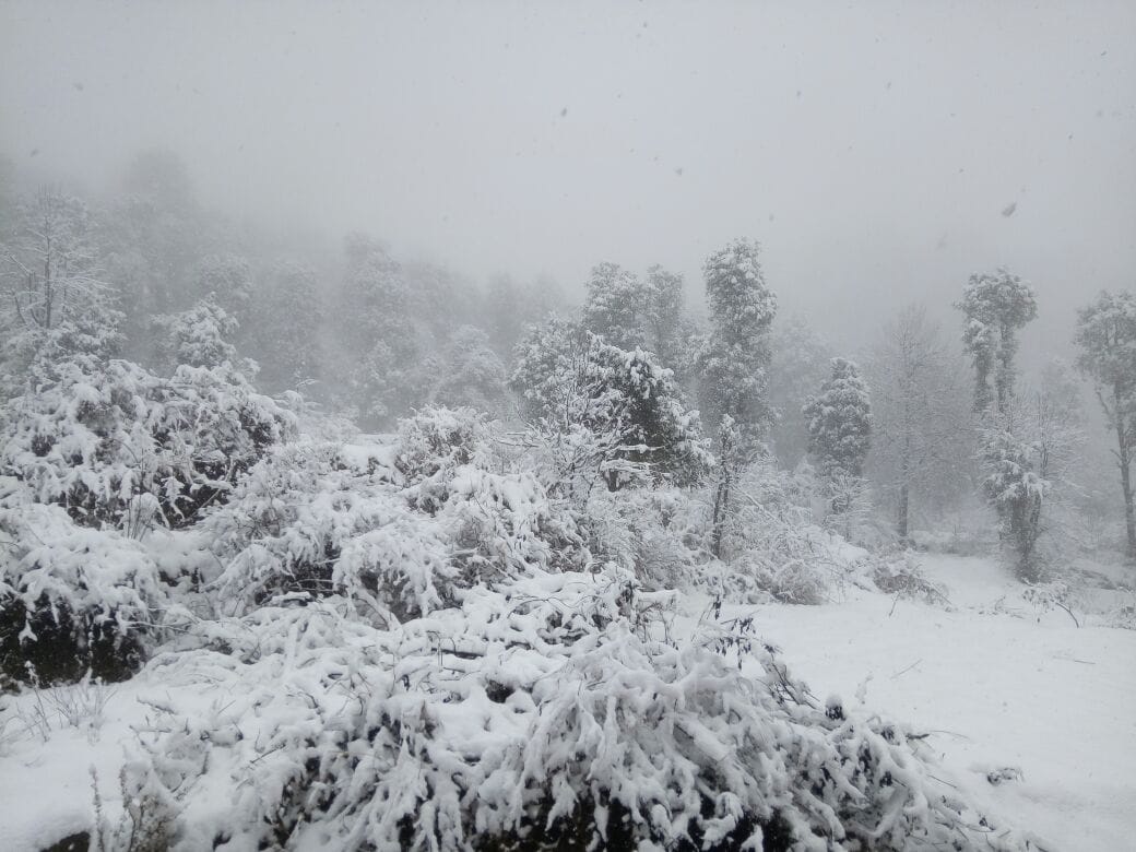 snowfall and rainfall in uttarakhand.