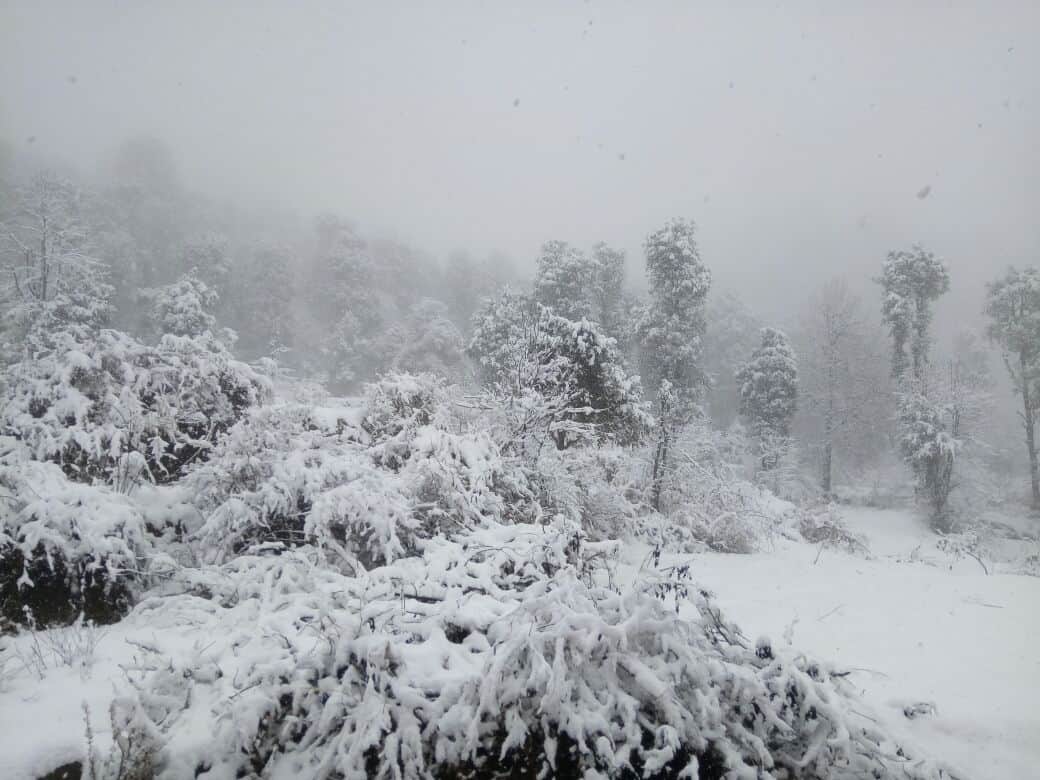12 hours continuous snowfall in kedarnath