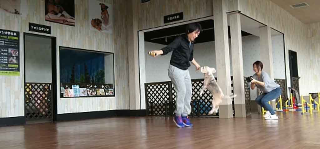 Dog and His Owner Break a Jump Roping World Record