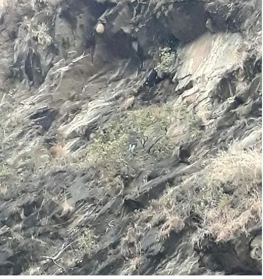 Young man trapped in the rock to Bartoli