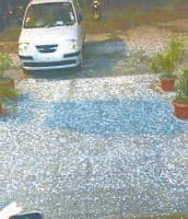 fatehabad, late night rain, benifitial for crops,  fatehabad,  harayana