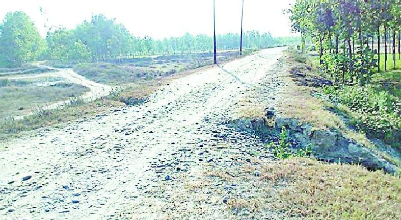 The dream did not come true, the need for development
