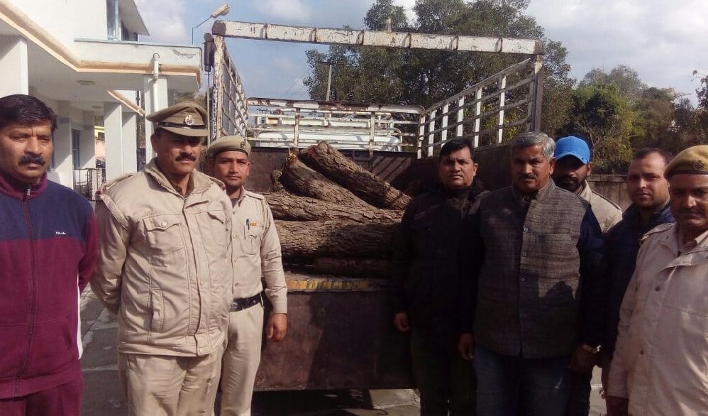 Police Caught Wood in a Pickup at Una.