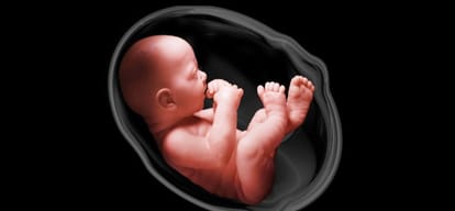 Newborn, two newborn baby, give birth, thrown on the road, BK Hospital, Faridabad, Haryana,