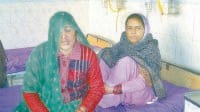 fatehabad, road accident, 9 injured,  fatehabad,  harayana