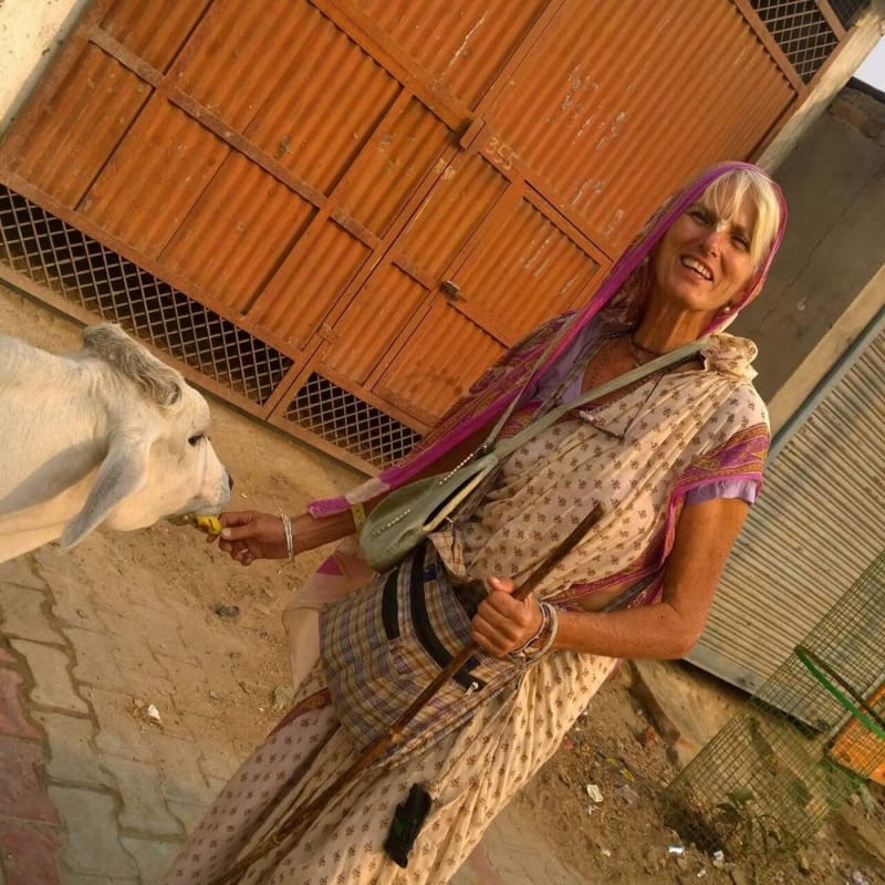 foreigner died in road accident in vrindavan