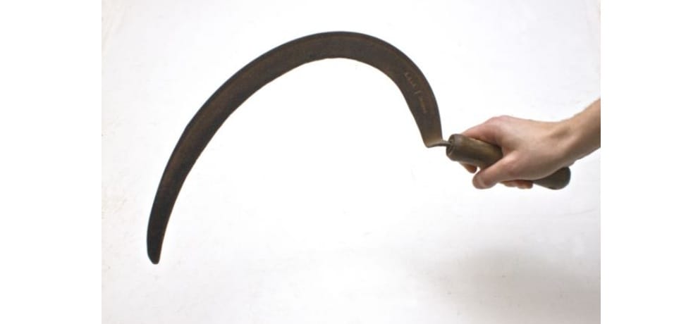 animal attacked by the sickle in the farm