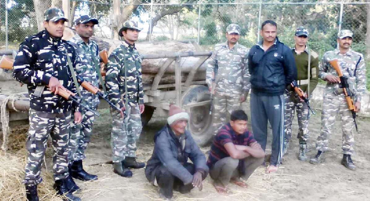 Father and son arrested, recovered wood