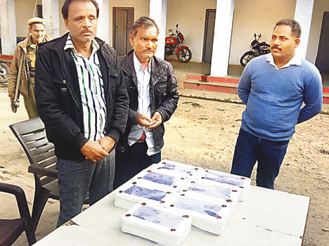 Kanpur STF nabbed two with 13 pistols