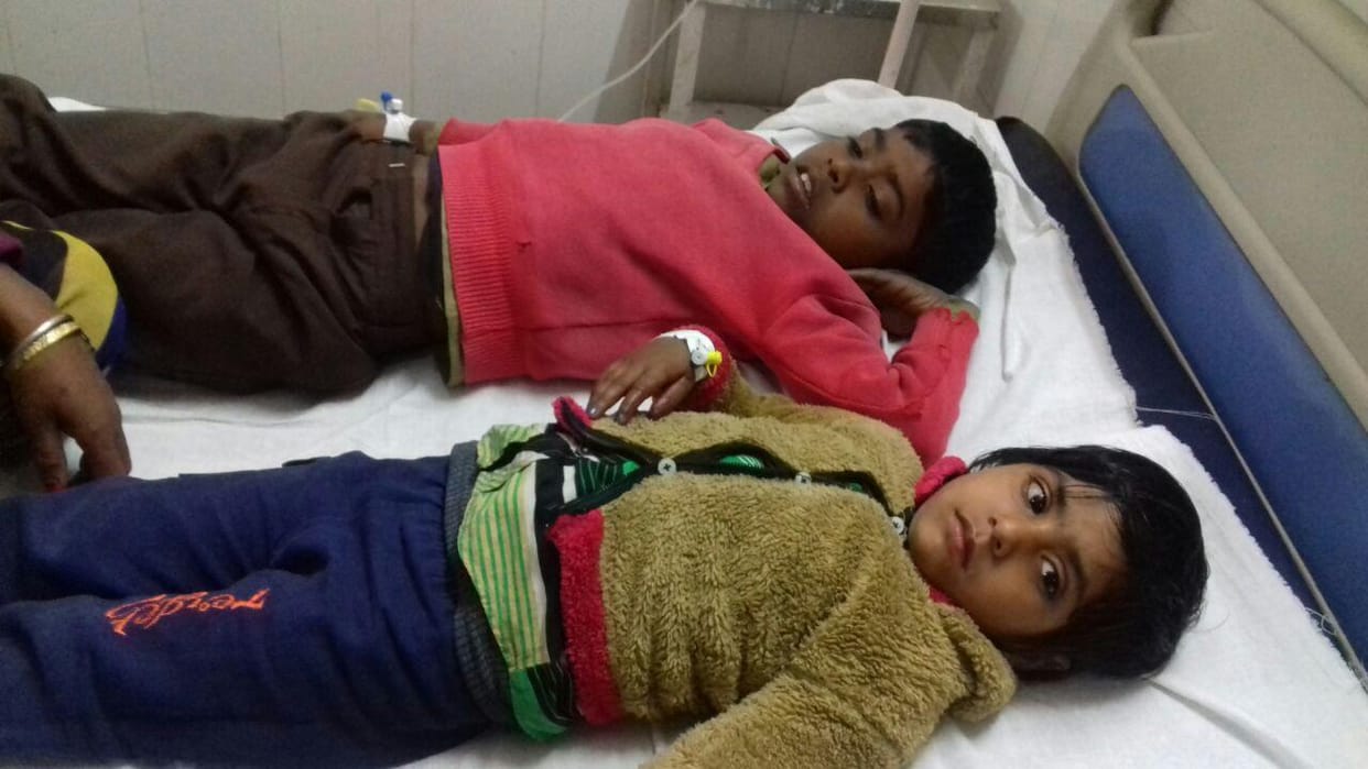 Seven children ill from eating the fruit of Jatropha