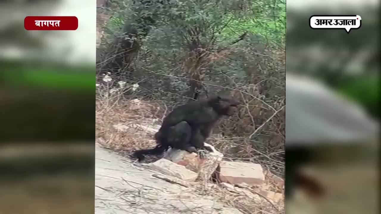 बागपत प्रदूषण