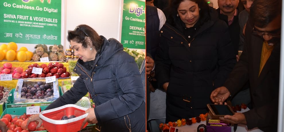 DIGI dhan Fair drew a crowd of thousands, took stock of giants