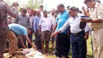 big murder mystery of up