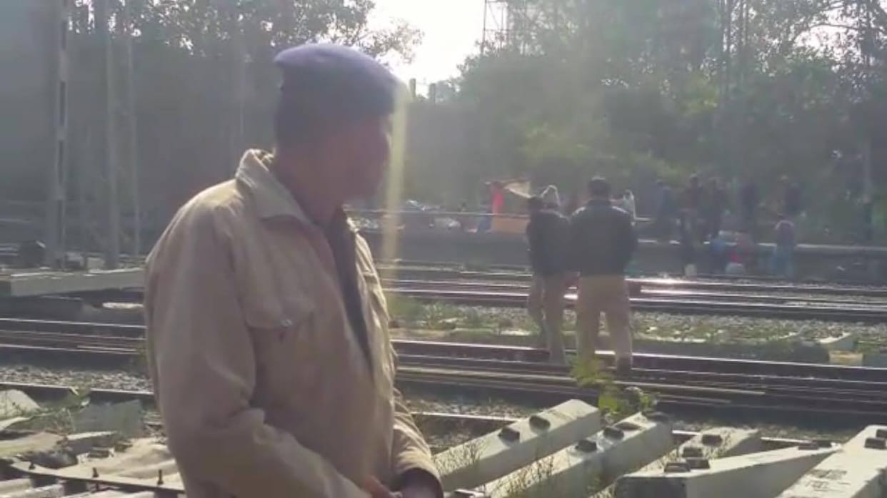 fell from tree, young man dead 