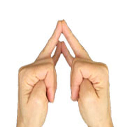 Yoga Poses To Reduce Fatigue