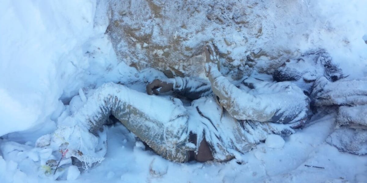 heavy snowfall in himachal, Five died in three days