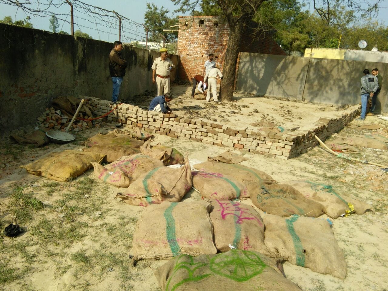 stf recovered 9000 tortoise