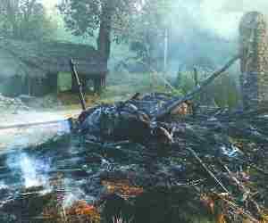 Three pet animals die in fire