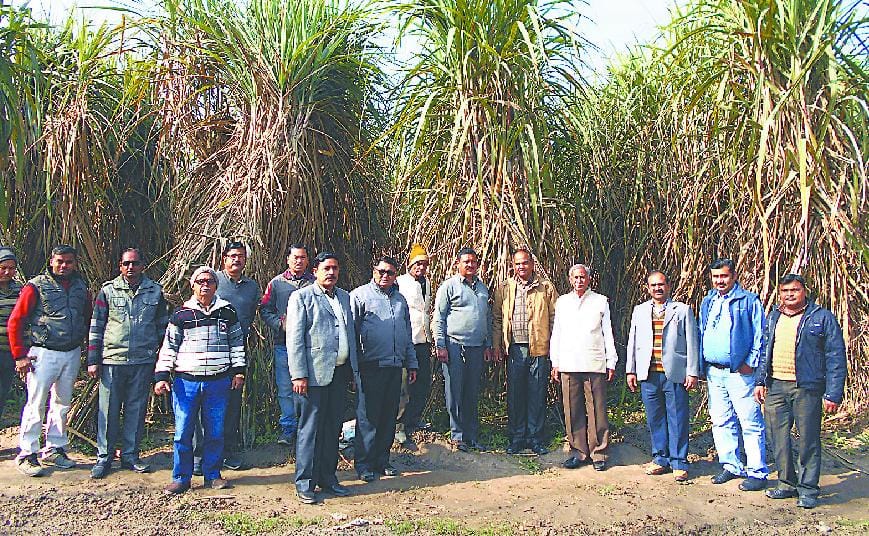 Satendra Singh Choudhary 75 to 18 feet in the cane field