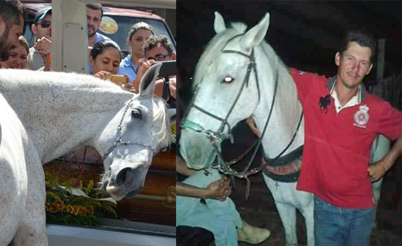 The heartbreaking moment a horse cries at his owner’s funeral