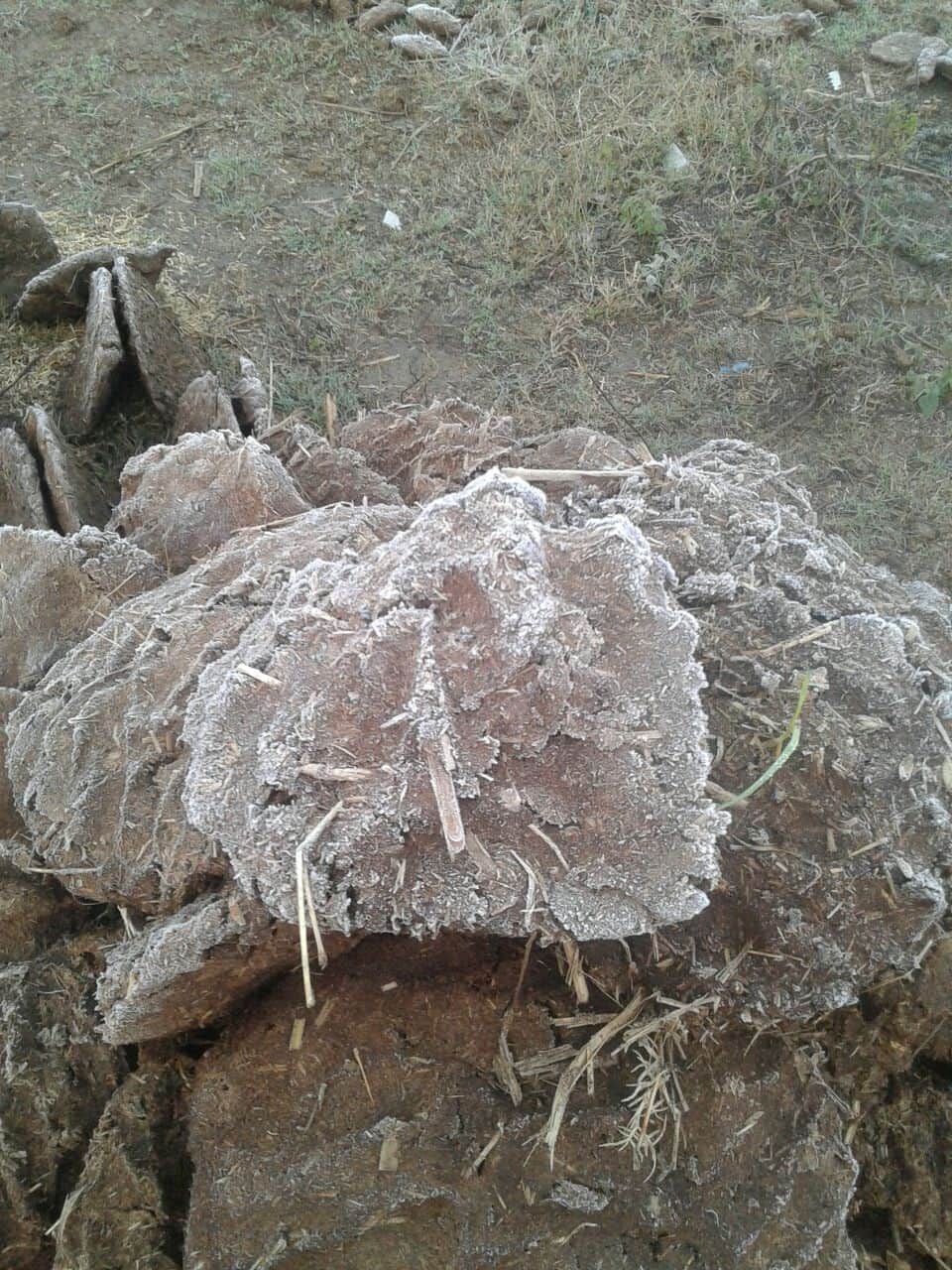 west up me kanp uthe log, jammkar hui barfbari