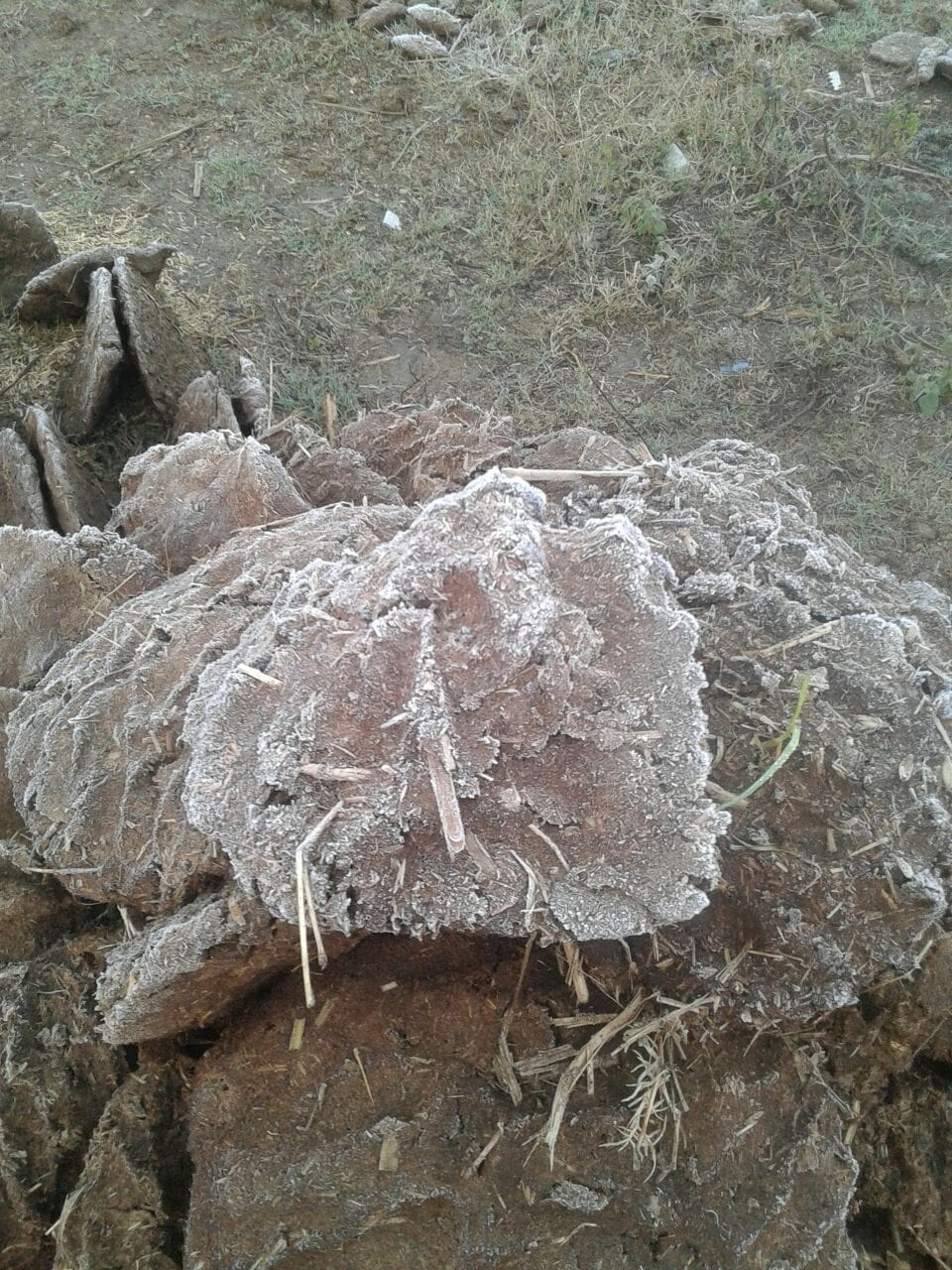 west up me kanp uthe log, jammkar hui barfbari
