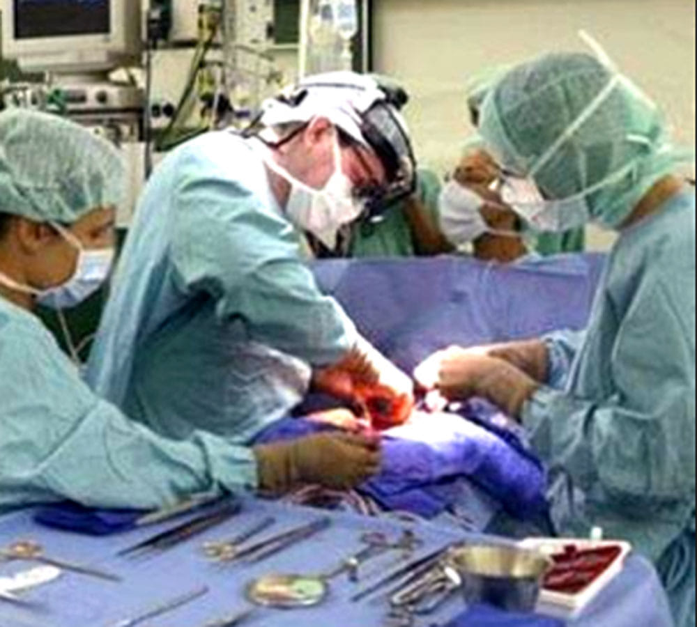 earthworms in woman stomach