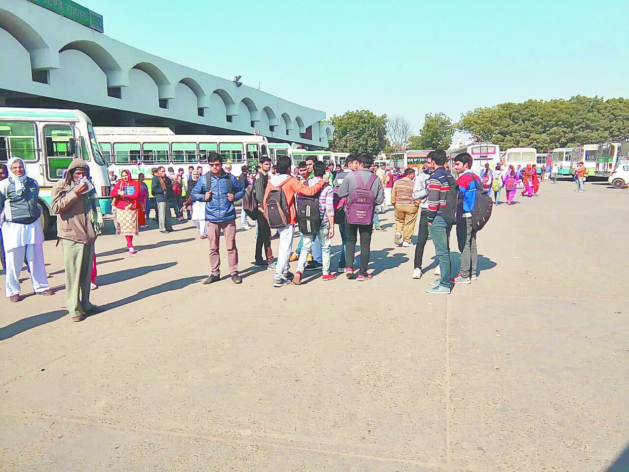 roadways bus, rohtak