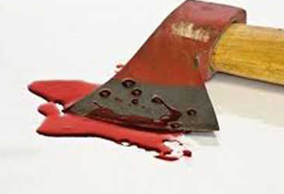 brother murdered with ax 