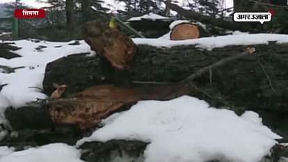 Heavy snowfall in Shimla, badly affected normal life