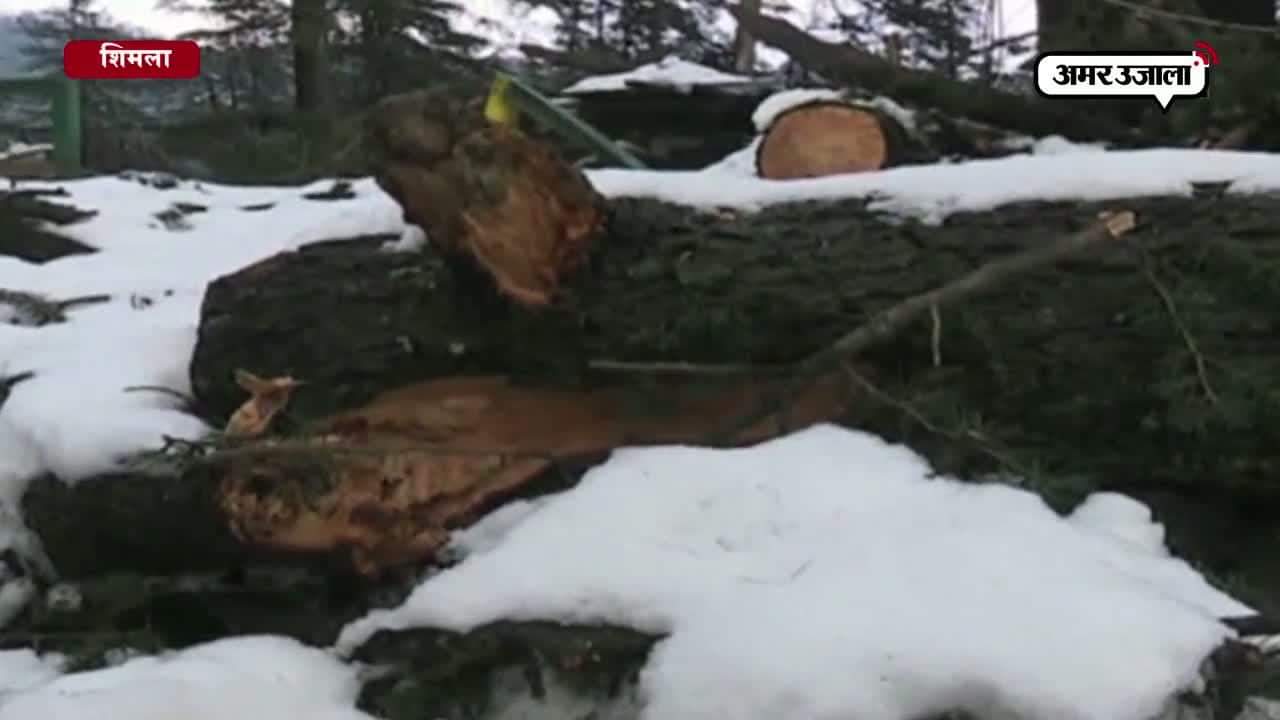 शिमला में भारी बर्फबारी 