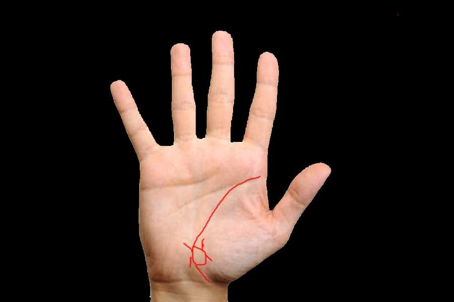 according to samudrik shastra these four sign in palm are lucky