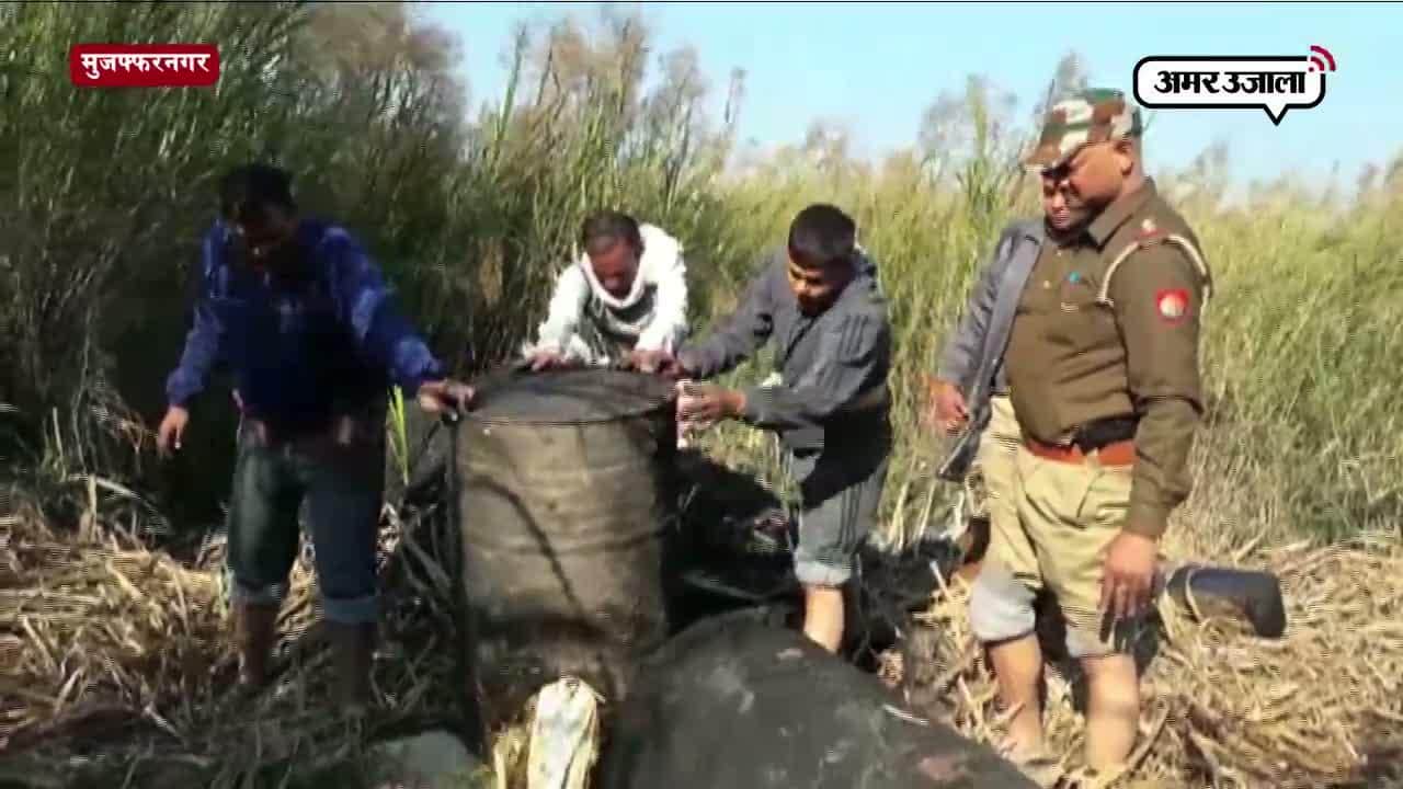 गोरखधंधा