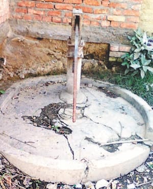 connive of bhatpurwa 